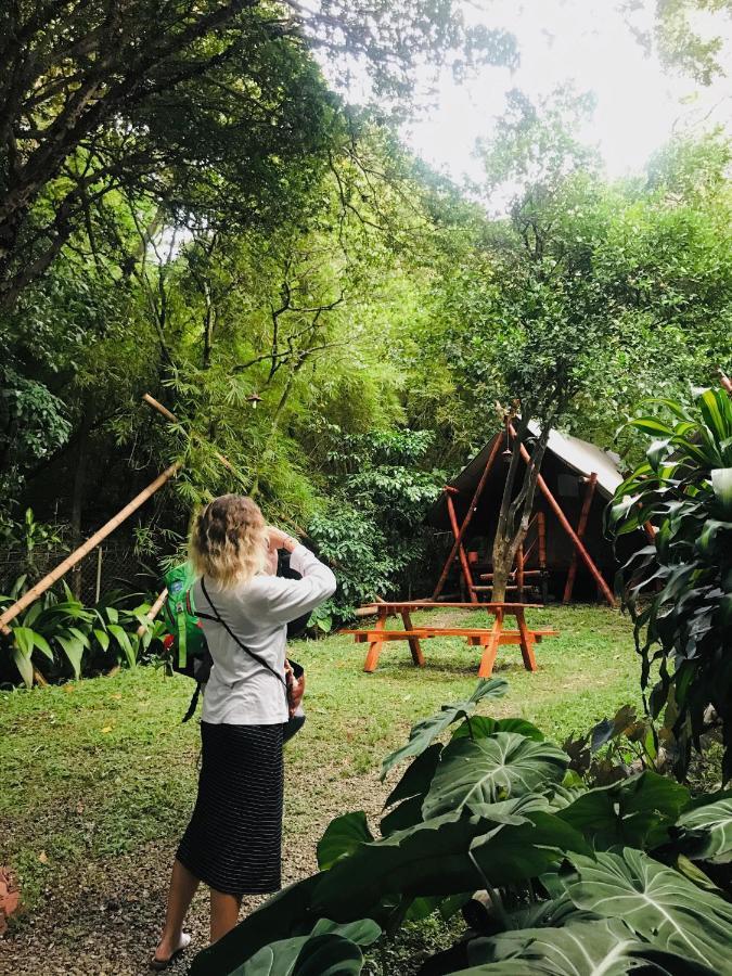 Bambú Glamping Ecolodge Medellín Exterior foto